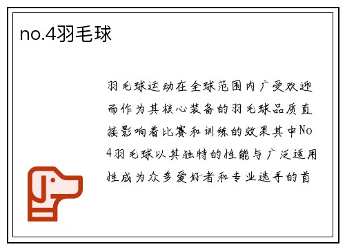 no.4羽毛球