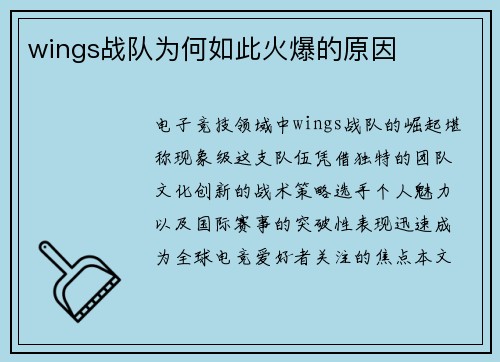 wings战队为何如此火爆的原因
