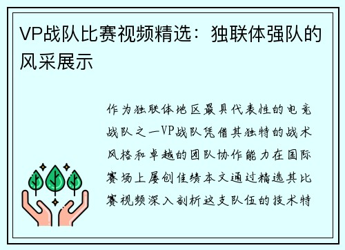 VP战队比赛视频精选：独联体强队的风采展示