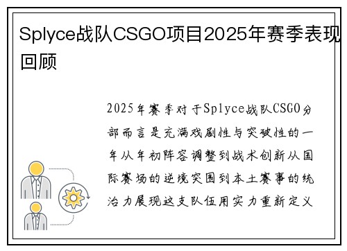 Splyce战队CSGO项目2025年赛季表现回顾